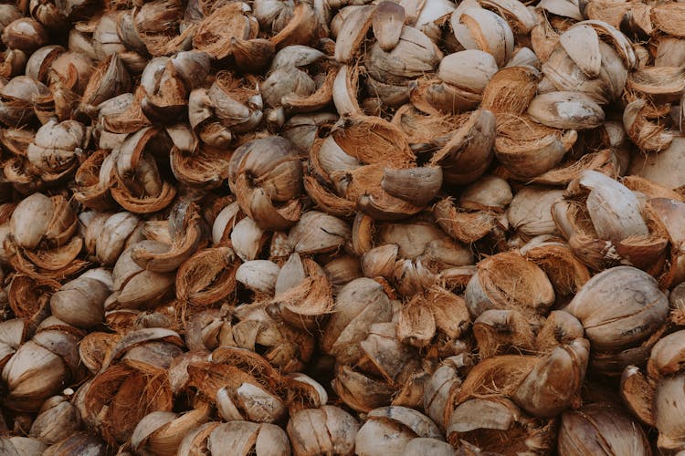 Brown Dried Coconut Shells