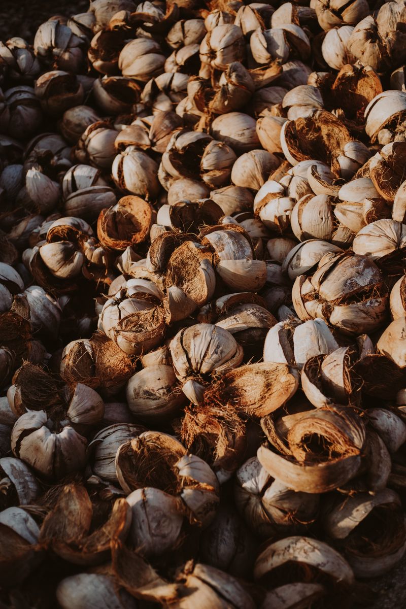 Tumpukan sabut kelapa yang dikumpulkan dari petani sekitar