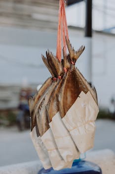 Close-up view of dried fish hanging in a market setting, showcasing packaging and presentation.