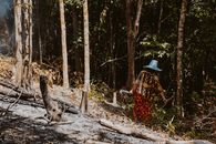 A Woman Standing Near the Trees