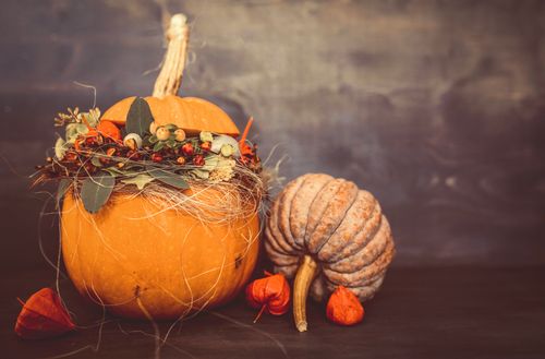 Free Ripe orange pumpkins decorated with flowers and leaves placed on wooden surface with physalis during harvest season on autumn time Stock Photo