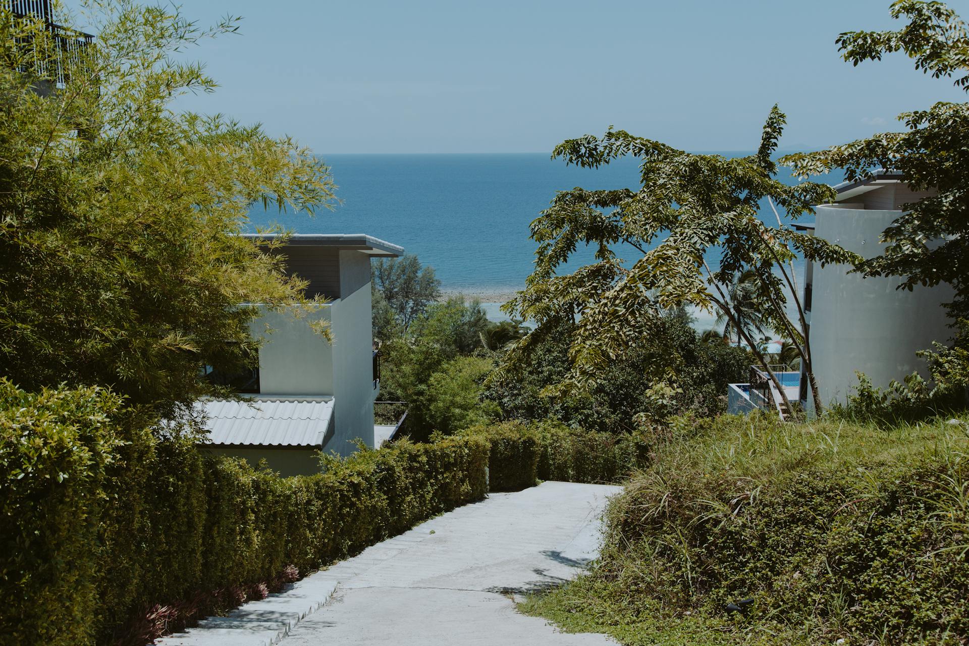 Serene view of a tropical pathway leading to the ocean, ideal for a beach getaway.