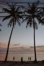 剪影棕榈树和人对一个宁静的热带日落海滩场景