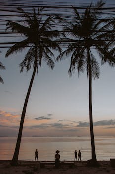 宁静的热带日落海滩上，映衬着棕榈树和人的剪影