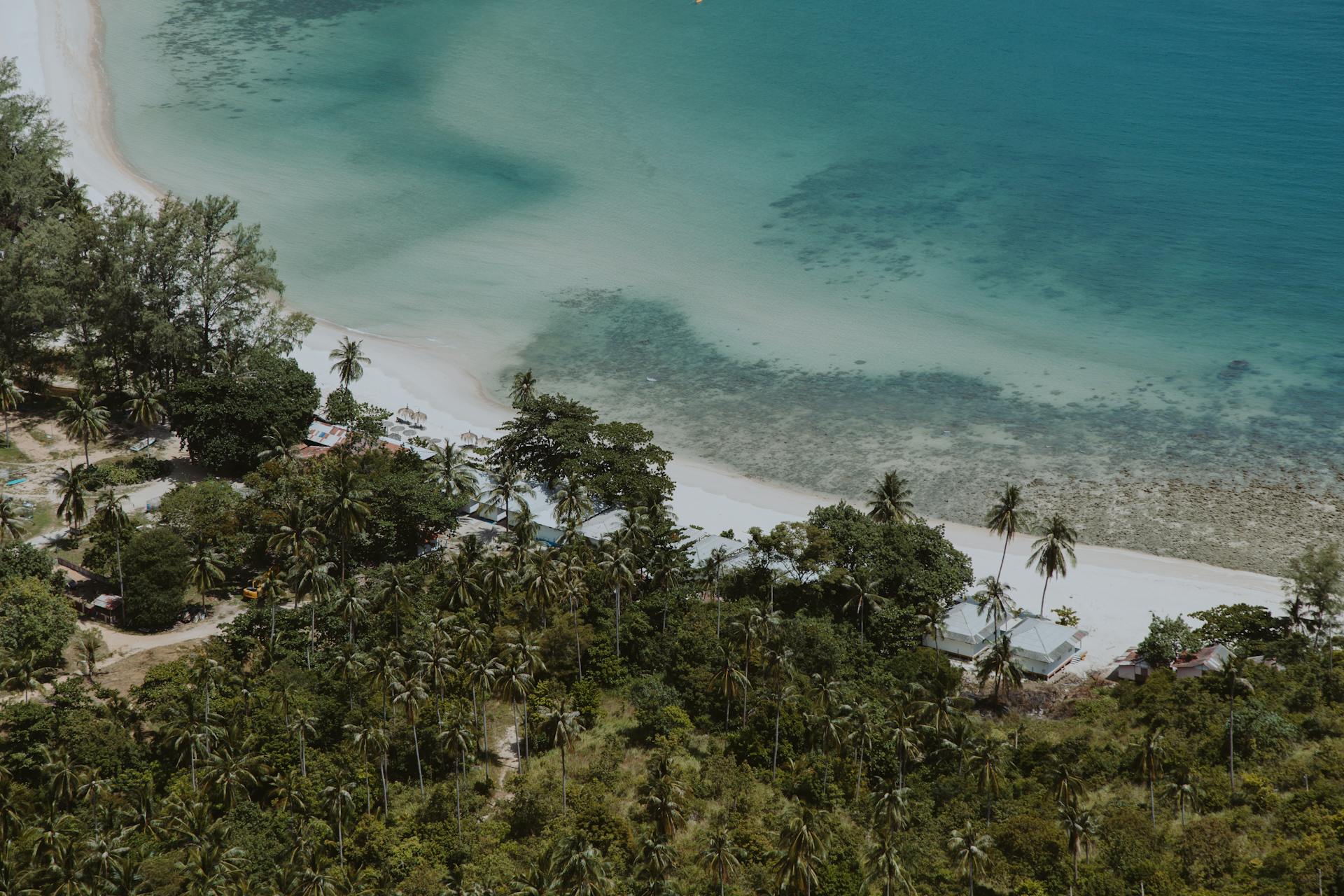 Aerial view of a tropical beach with turquoise waters and lush palm trees, perfect for travel inspiration.