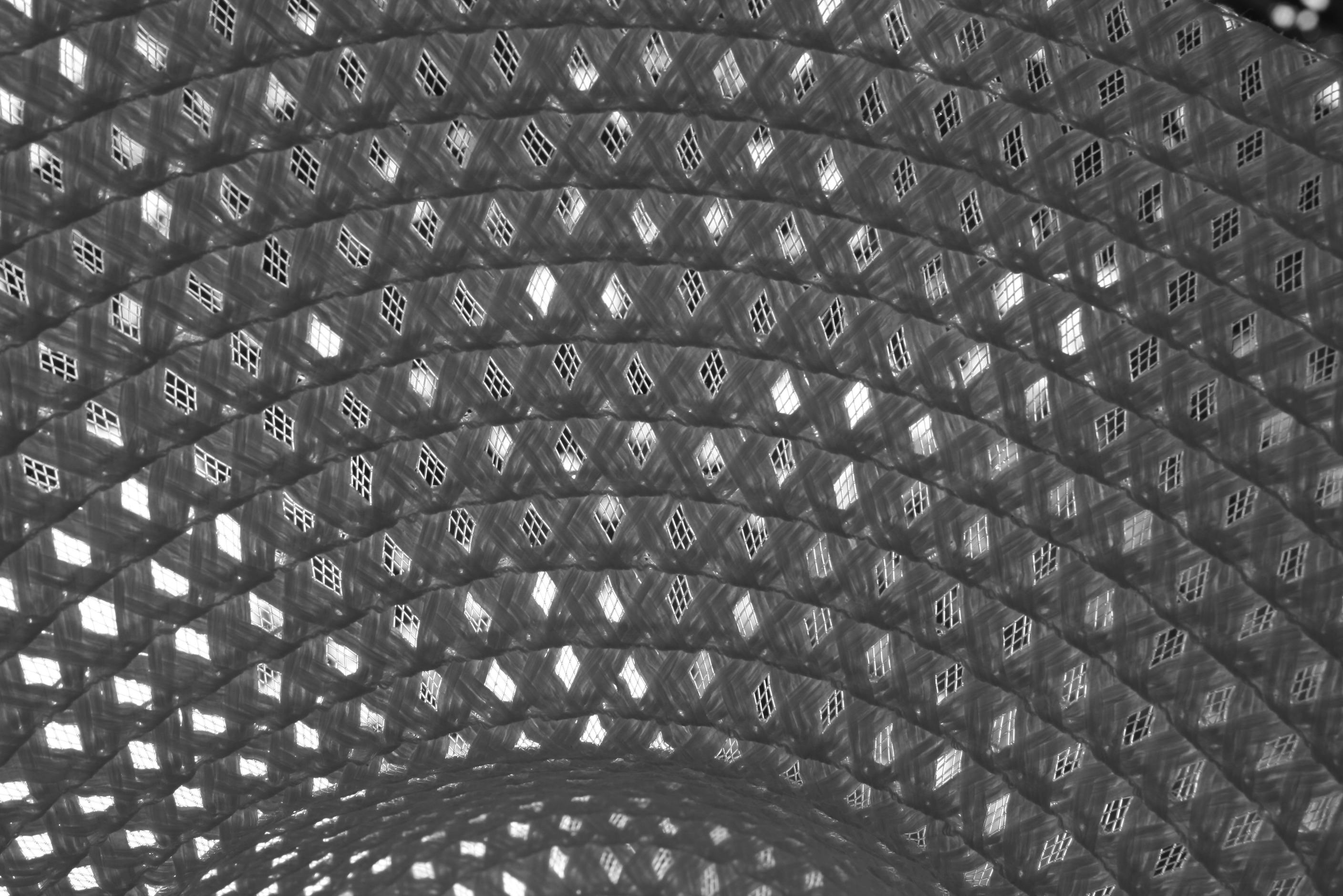 Playful puppy showing typical behavior