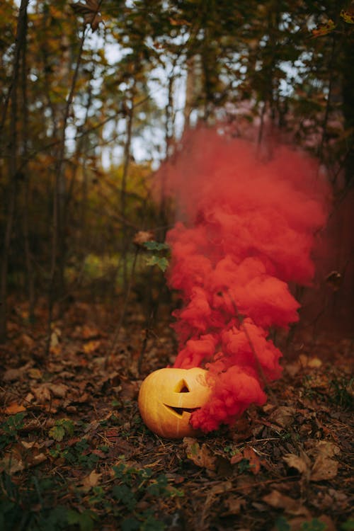 お祝い, かぼちゃ, ジャックランタンの無料の写真素材