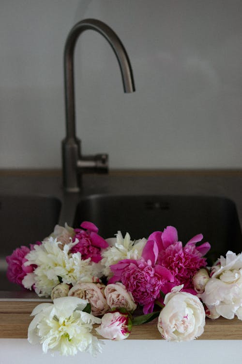 Fragrant peony flowers placed in kitchen basin