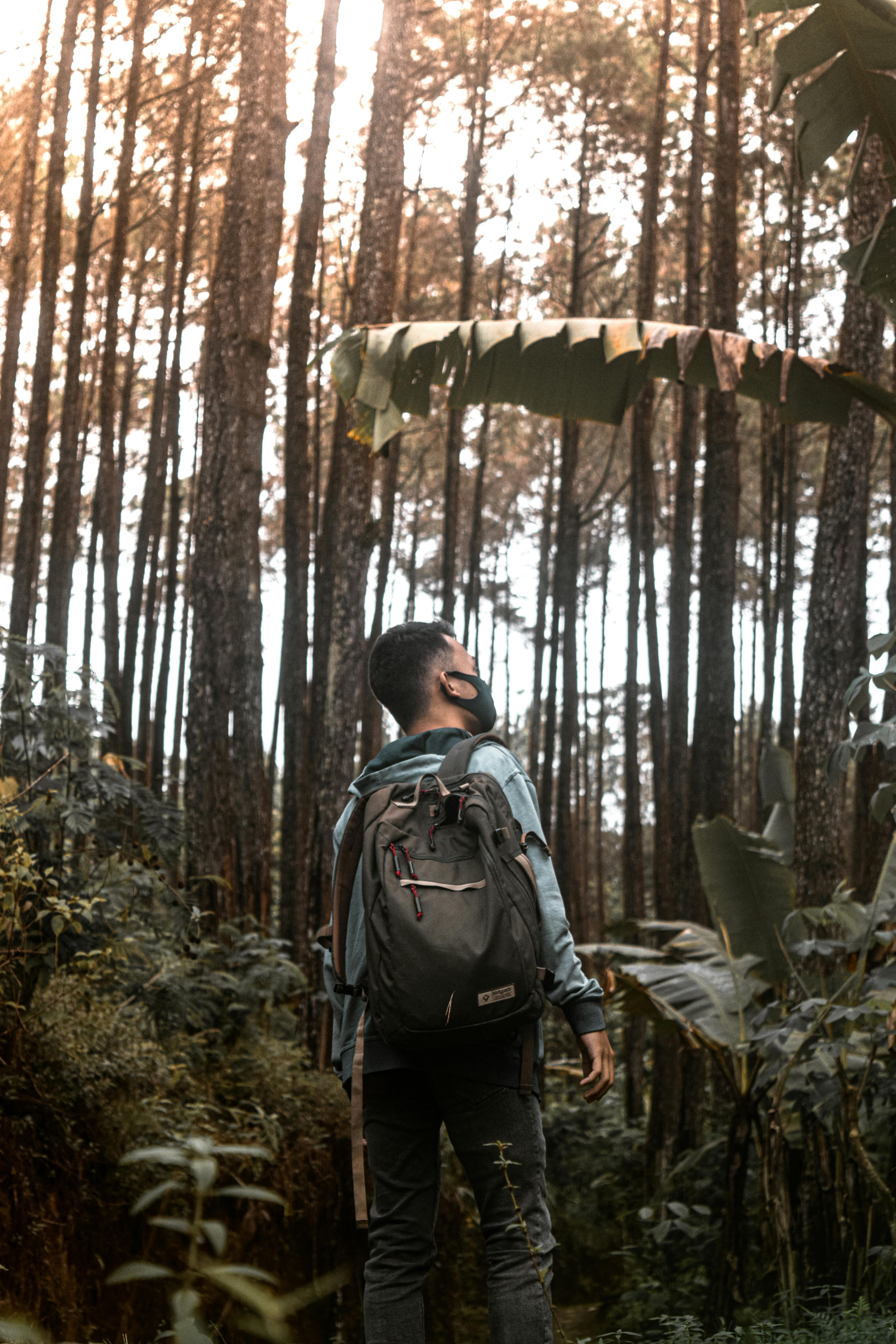 wood carrying backpack