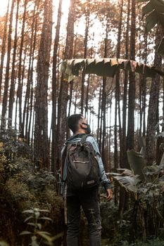 Man wearing a backpack, exploring a dense forest in Indonesia. Nature and adventure await.