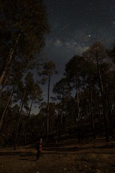 印度考萨尼森林上空，银河景观令人惊叹，高大的树木间，一位孤独的流浪者静立其中