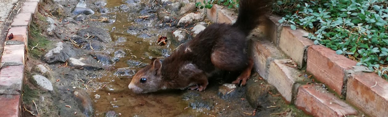 Bangalore city road modern traffic infrastructure 2026
