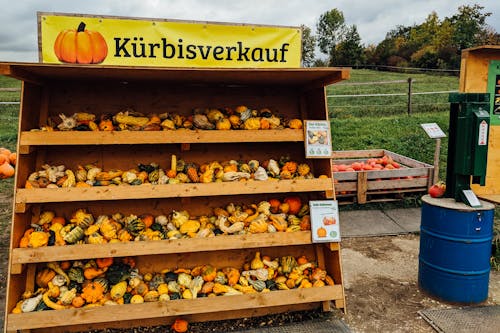 Imagine de stoc gratuită din afaceri, afișaj, agricultură