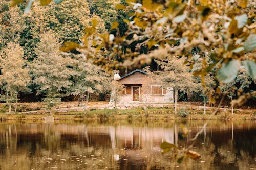 House on coast of lake in forest