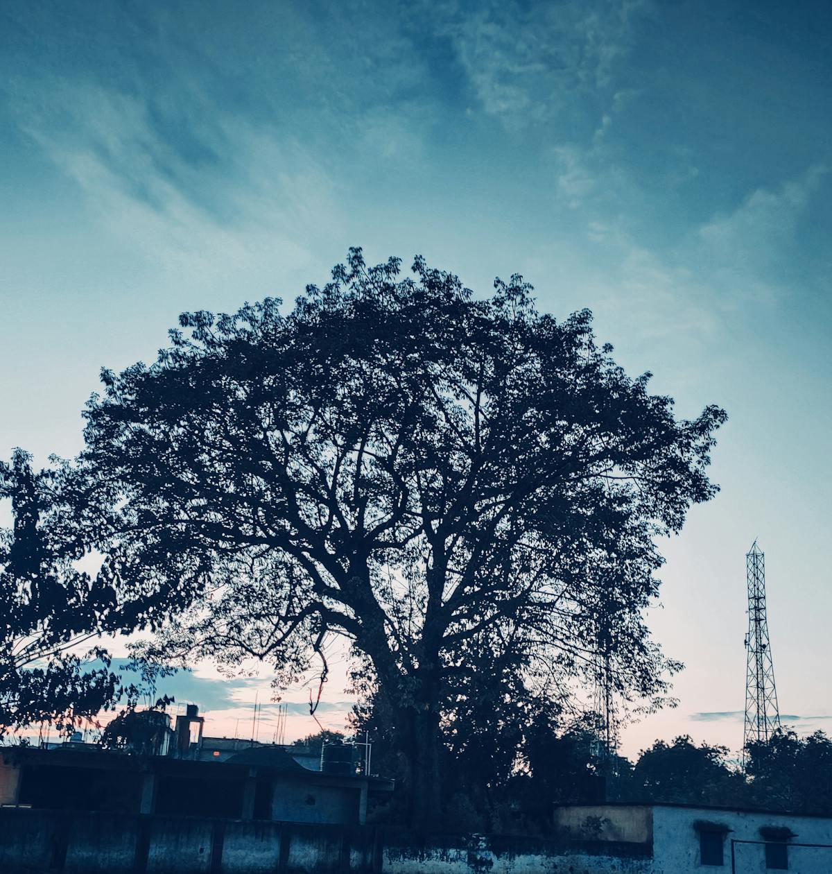 Modern store aisle with neatly arranged products