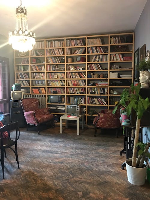 Free stock photo of eskişehir, library