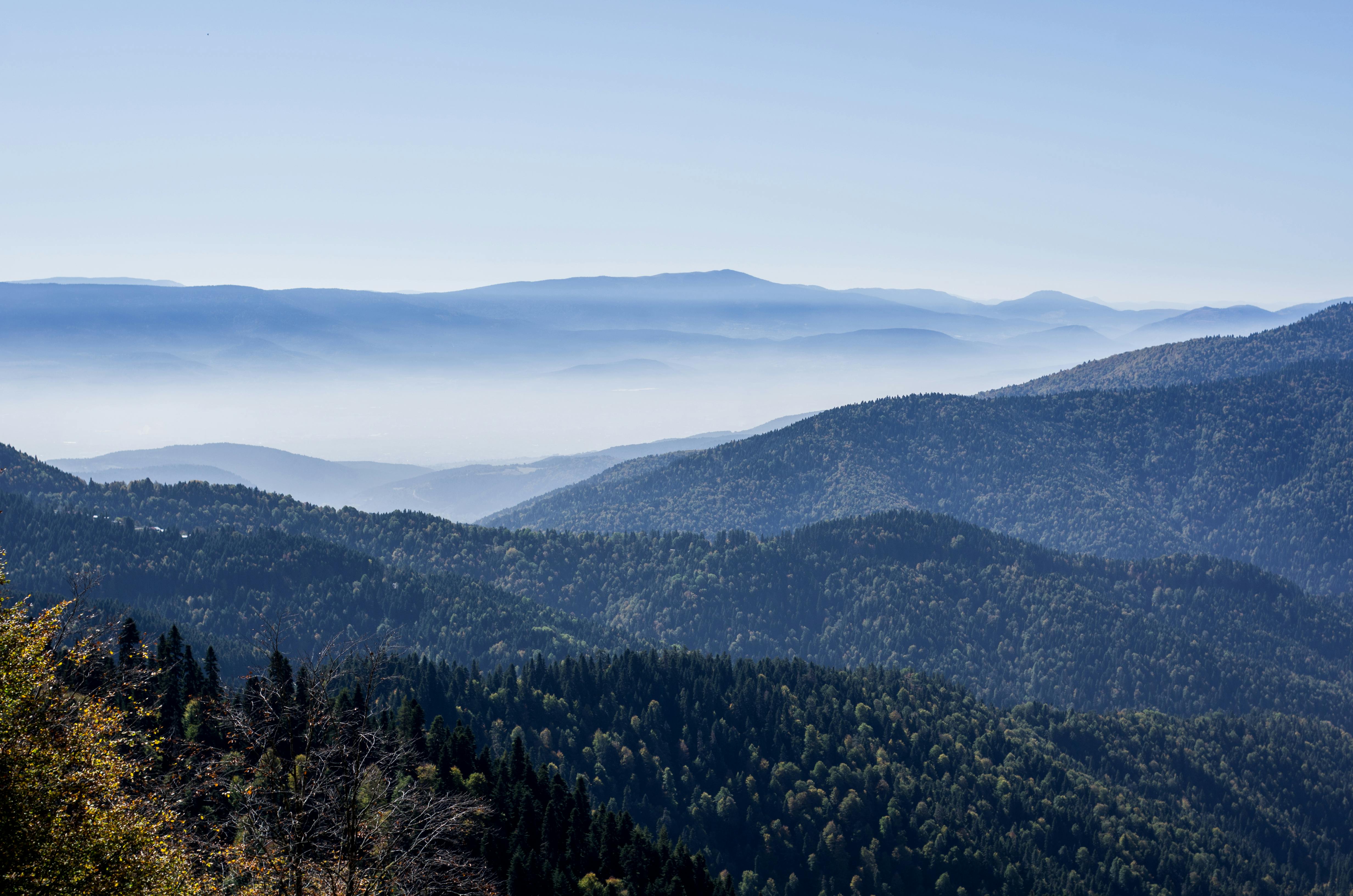 Gray Rock Mountain · Free Stock Photo