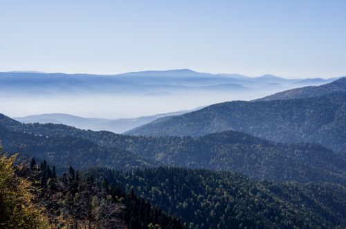 Free Breathtaking mountain landscape with misty valleys and lush forests. Stock Photo
