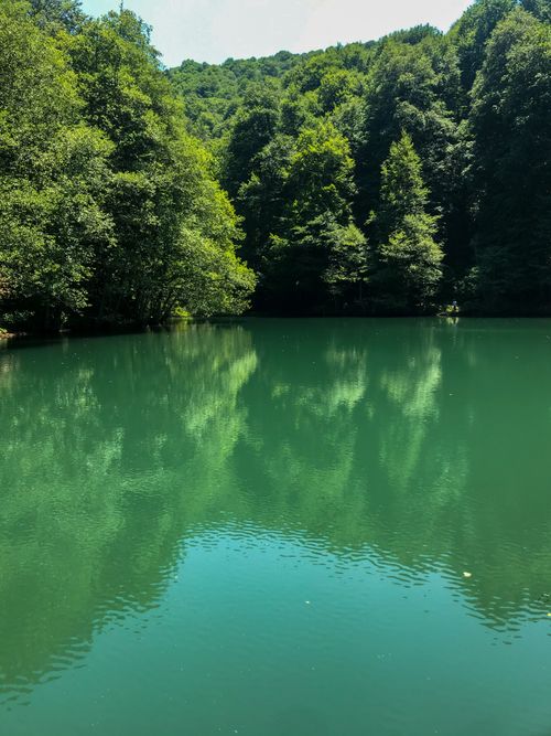 Free stock photo of bolu, lake, yedigöller Stock Photo