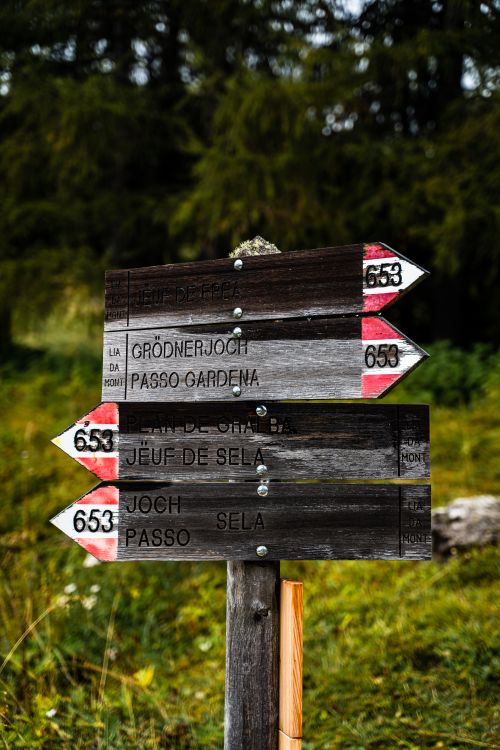 Free Wooden directional signpost in Wenecja Euganejska, Italy, amidst greenery. Stock Photo