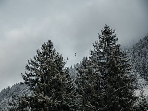 clooud, mountainrange, snowfamily içeren Ücretsiz stok fotoğraf