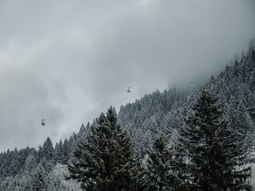 Gratis stockfoto met bergketen, clooud, snowfamily