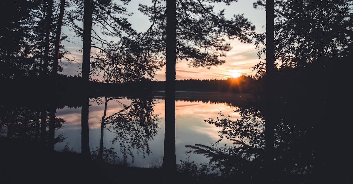 Pourquoi choisir une cérémonie intime et personnalisée ?