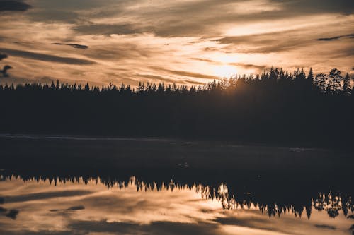 Ingyenes stockfotó erdő háttér, felhők az égen, naplemente színei témában