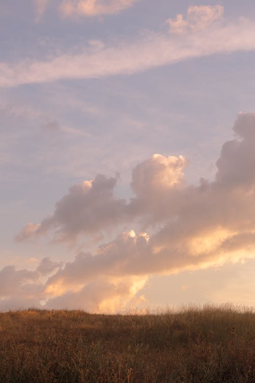 Gratis Fotos de stock gratuitas de @al aire libre, campo, cielo nublado Foto de stock