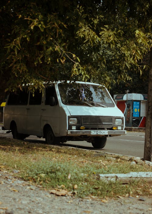 White Van Parked Beside Green Tree