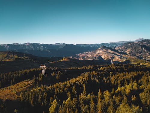 Foto d'estoc gratuïta de a l'aire lliure, alba, arbres