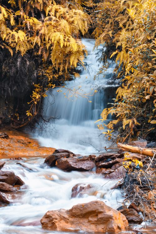 Free Tranquil waterfall in a vibrant autumn forest, capturing flowing water and vibrant foliage. Stock Photo