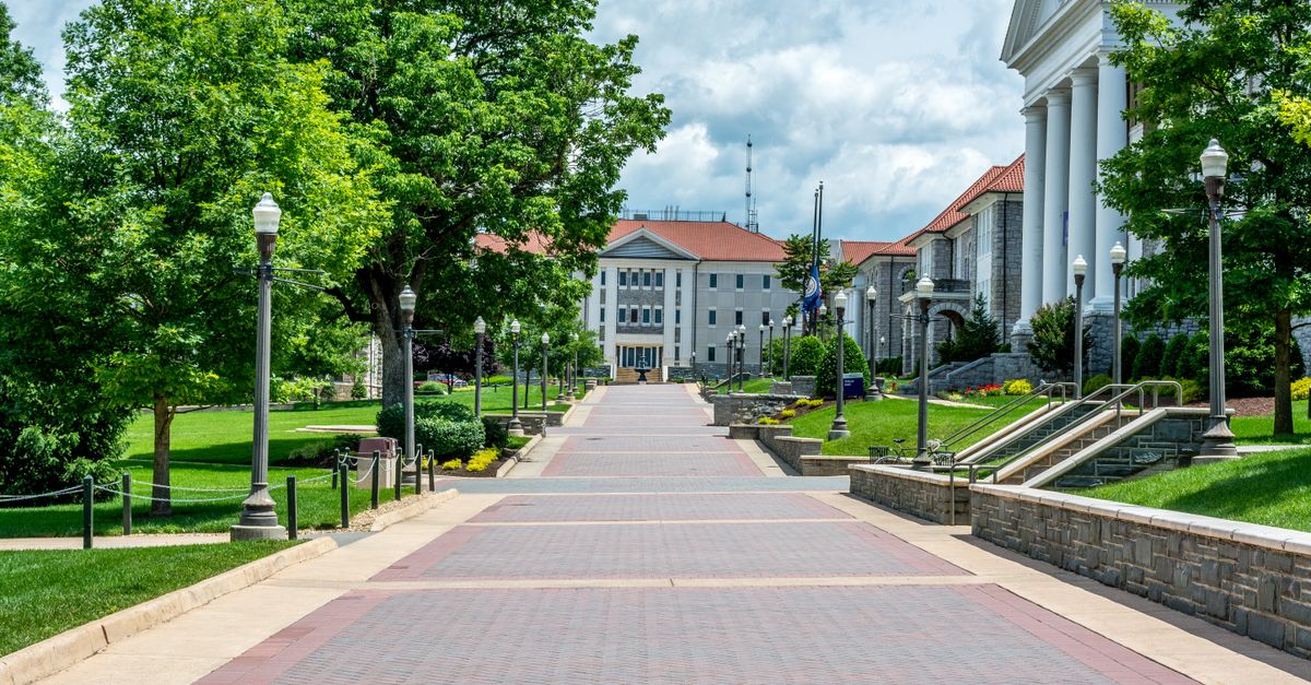 2026年地方國公立大學就業優勢排名分析報告 2026年地方国公立大学就职优势排名分析报告