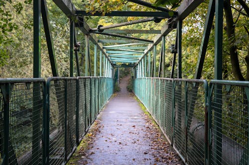 Green Steel Bridge Surrounded by Green Trees