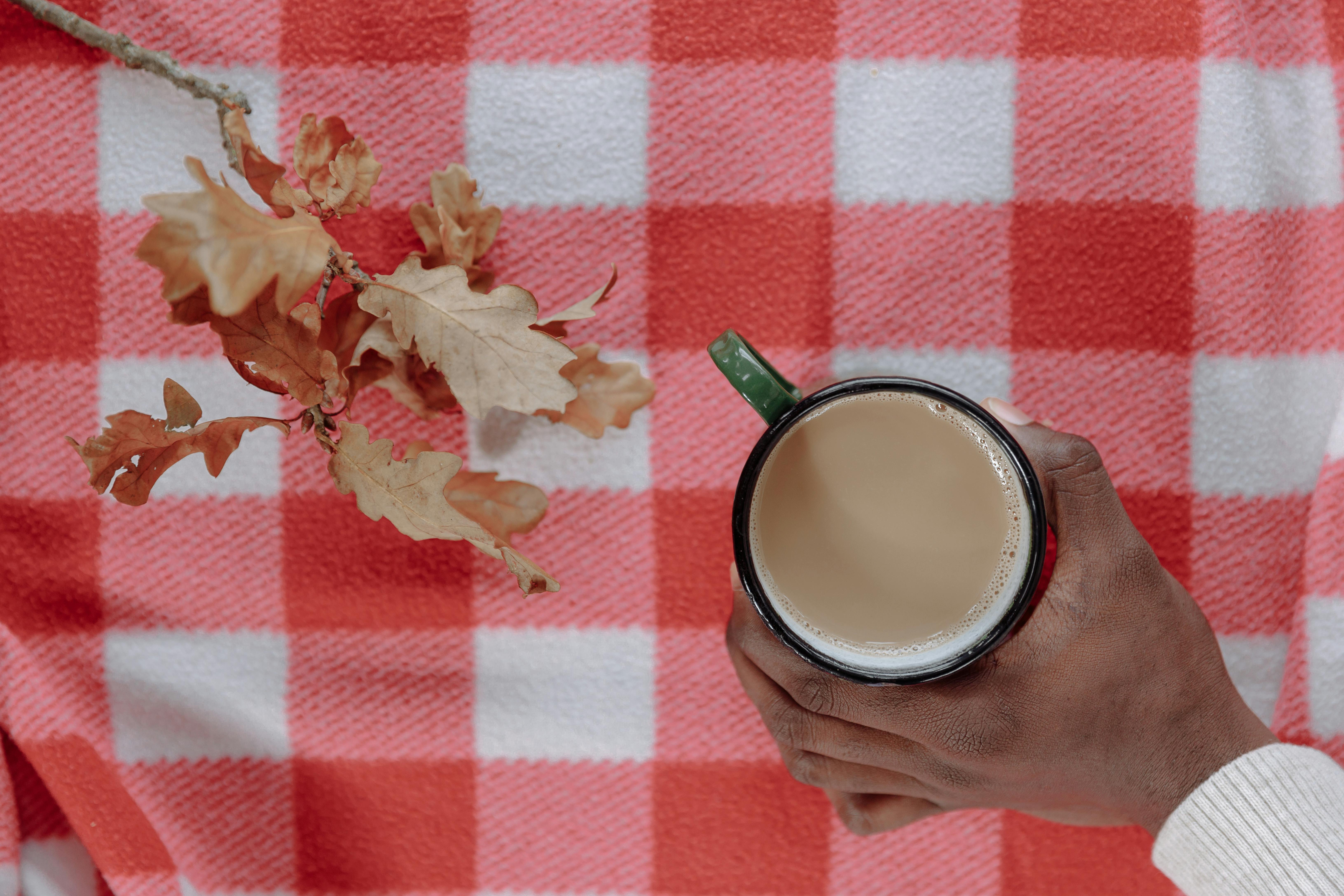 Free A hand holding a mug of coffee on a red plaid blanket with autumn leaves. Stock Photo