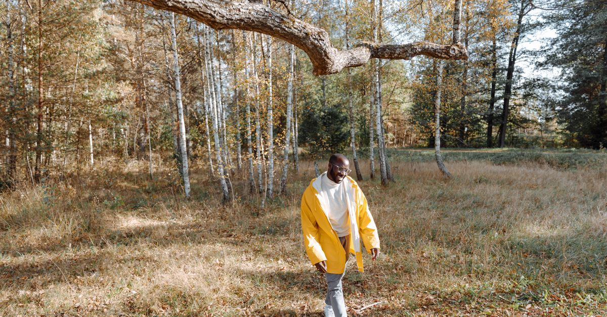 Veste imperméable homme : Top 10 modèles 2026