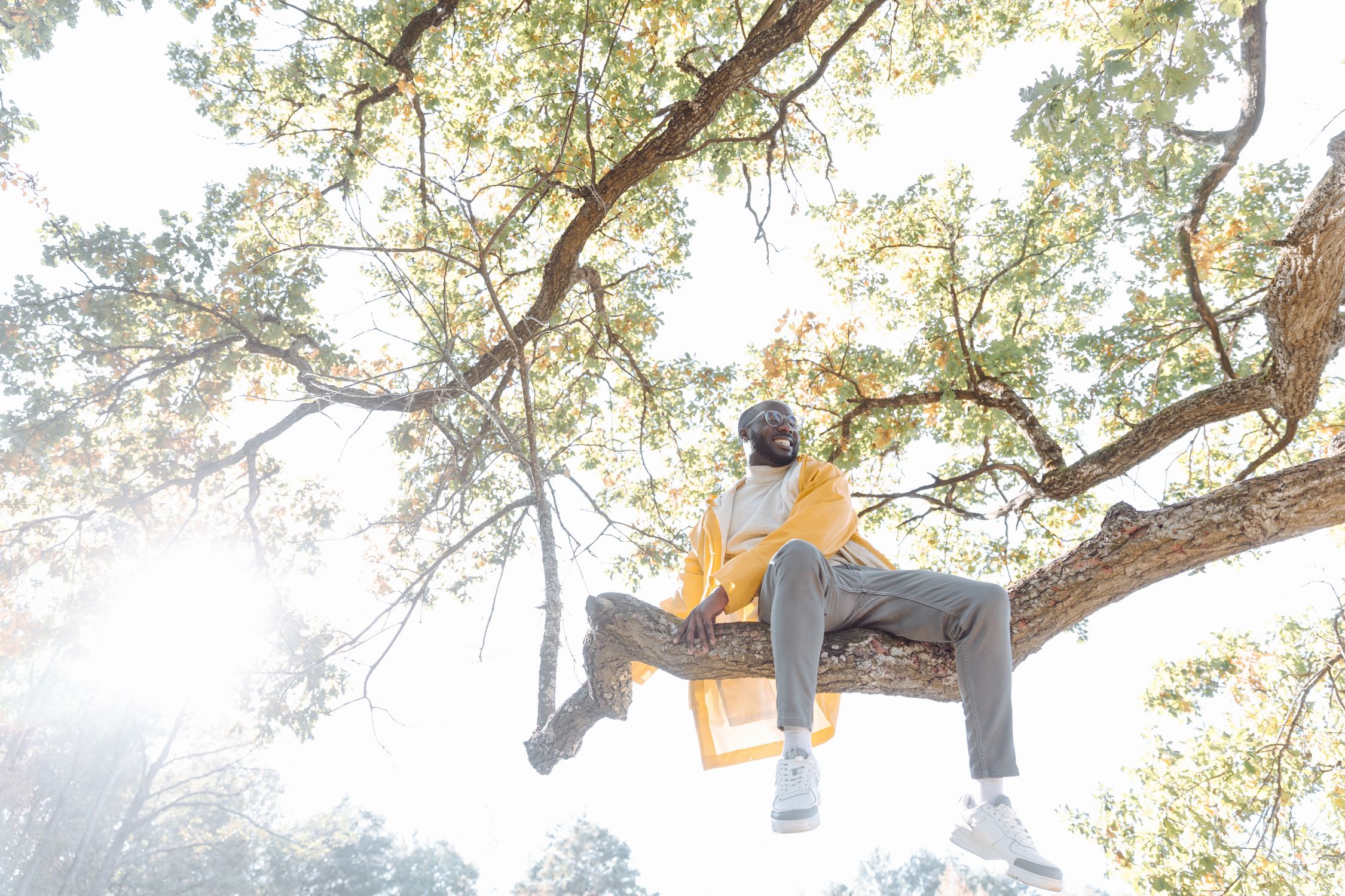 Man in Yellow Jacket Sitting On A Branch Of A Tree · Free Stock Photo