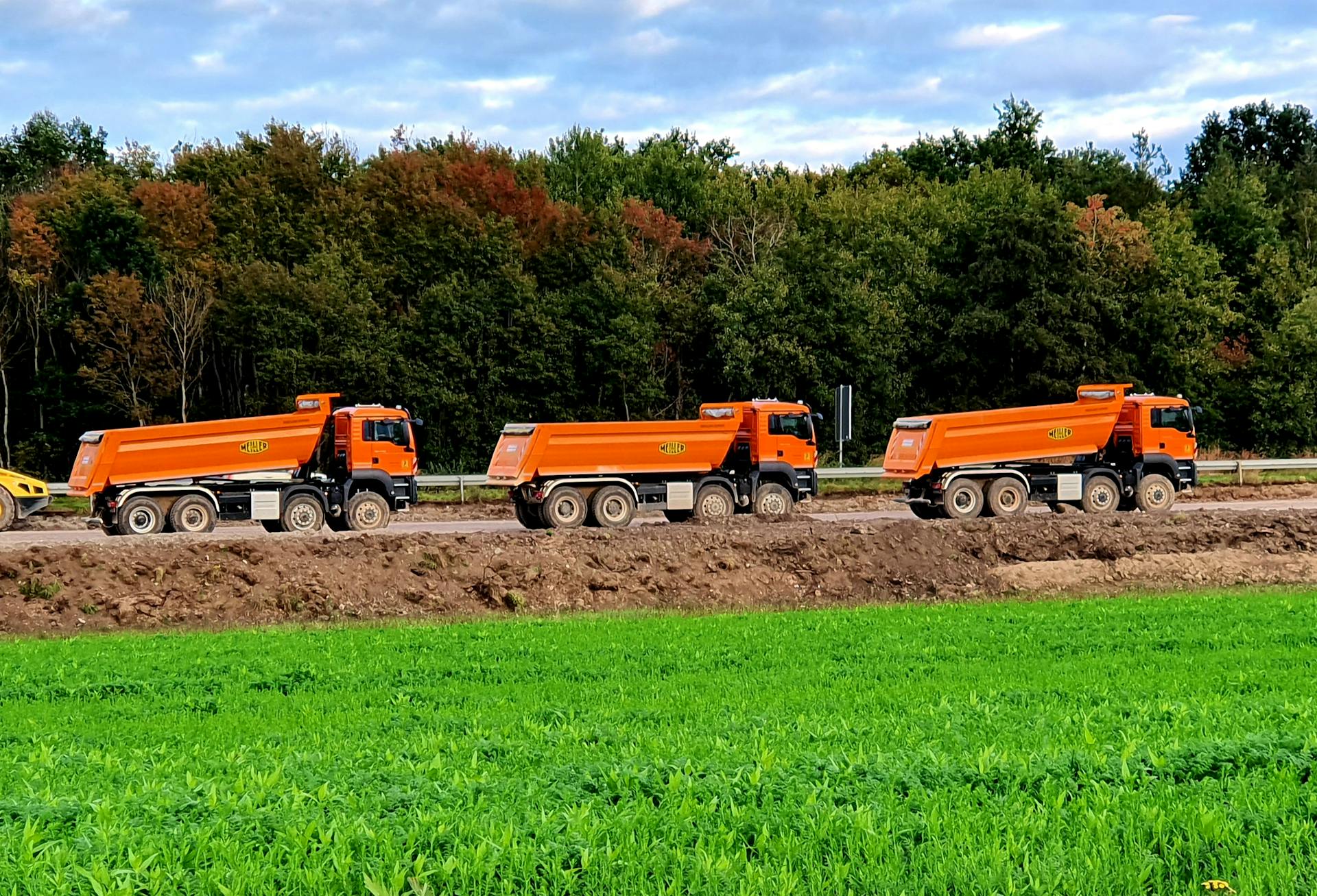 Three orange dump trucks parked at an outdoor construction site beside green grass fields.