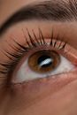 Persons Brown Eyes in Close Up Photography
