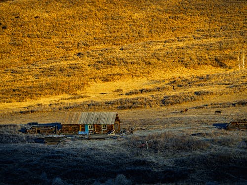 Gratis stockfoto met houten huis, landschap, natuur