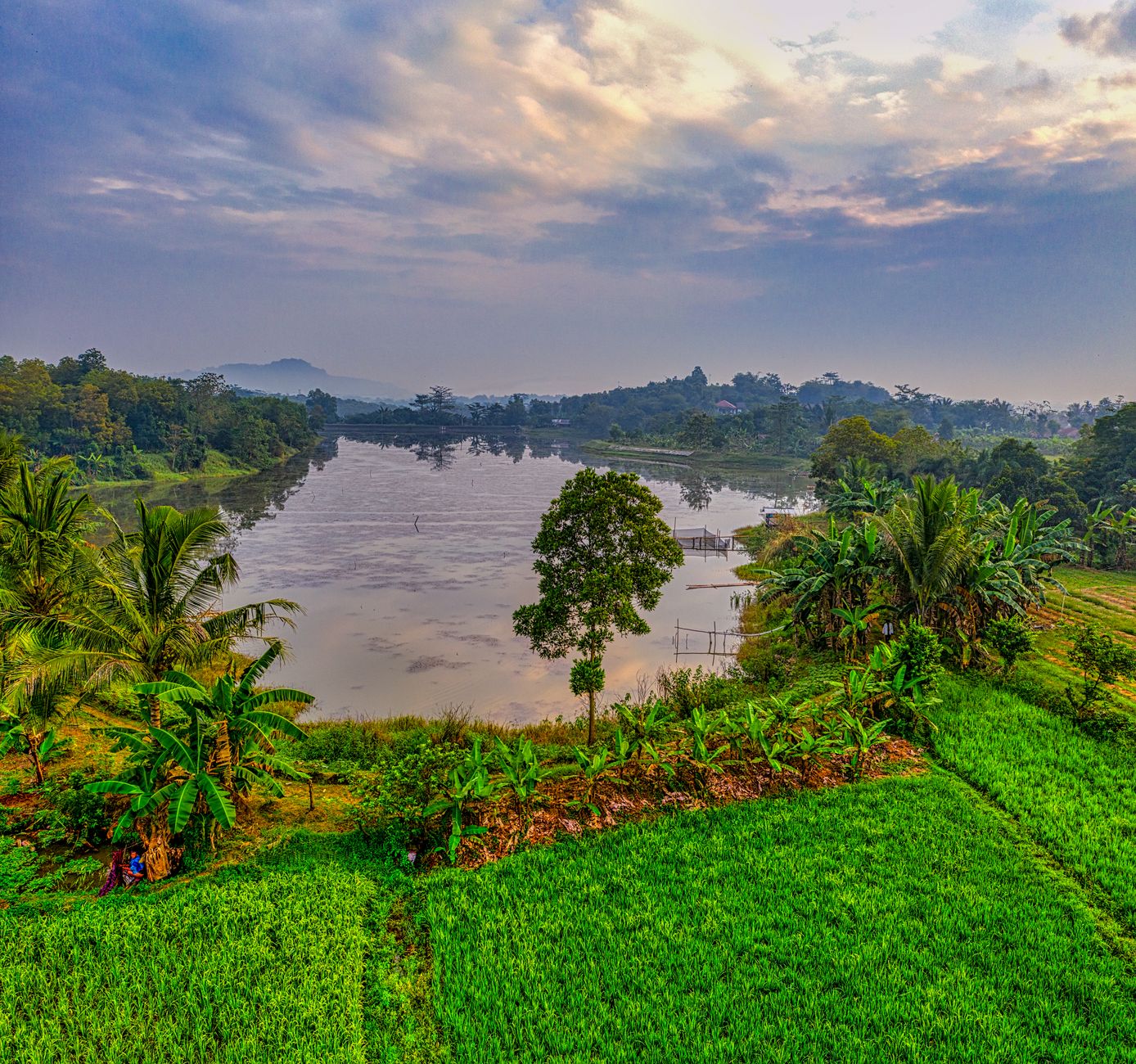 Picturesque scenery of river near plantations on field near green trees and plants with hill on background under cloudy sky in summer evening