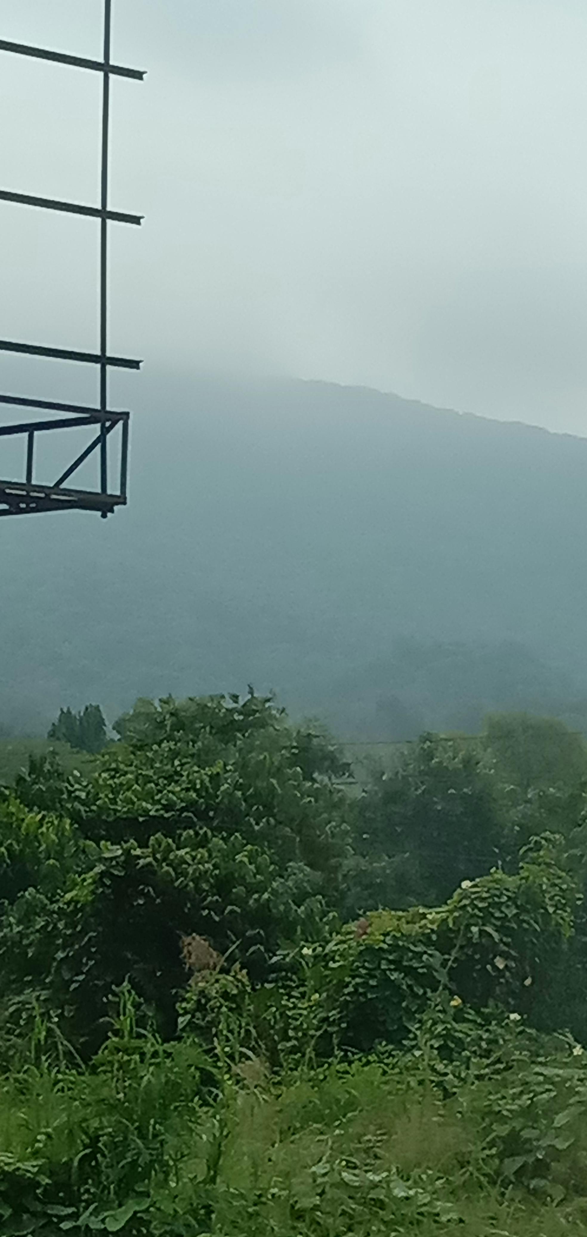 Trainer Leo portrait