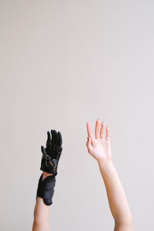 Free A comparison of a robotic prosthetic hand with a human hand raised on a white background. Stock Photo