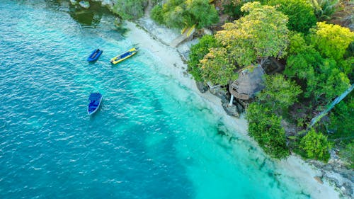 Motorboats in sea water near green shore