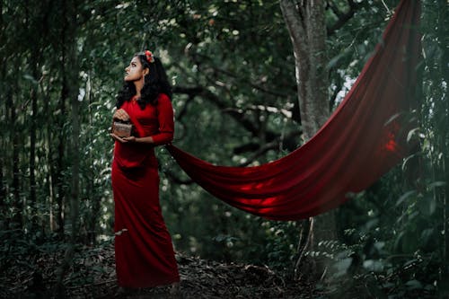Người Phụ Nữ Trong Trang Phục Sari đỏ Và đen đứng Gần Bức Màn đỏ