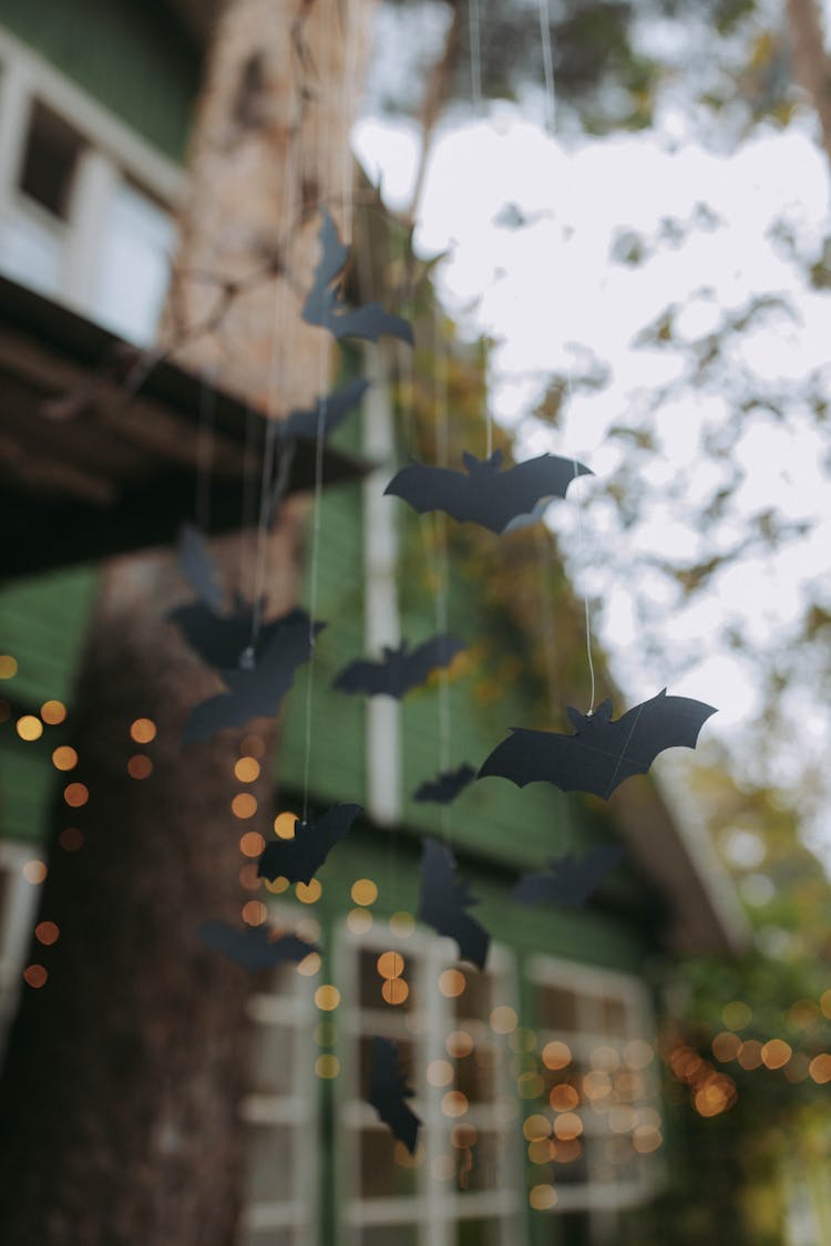 Black Bat Decoration Hanging On A Tree