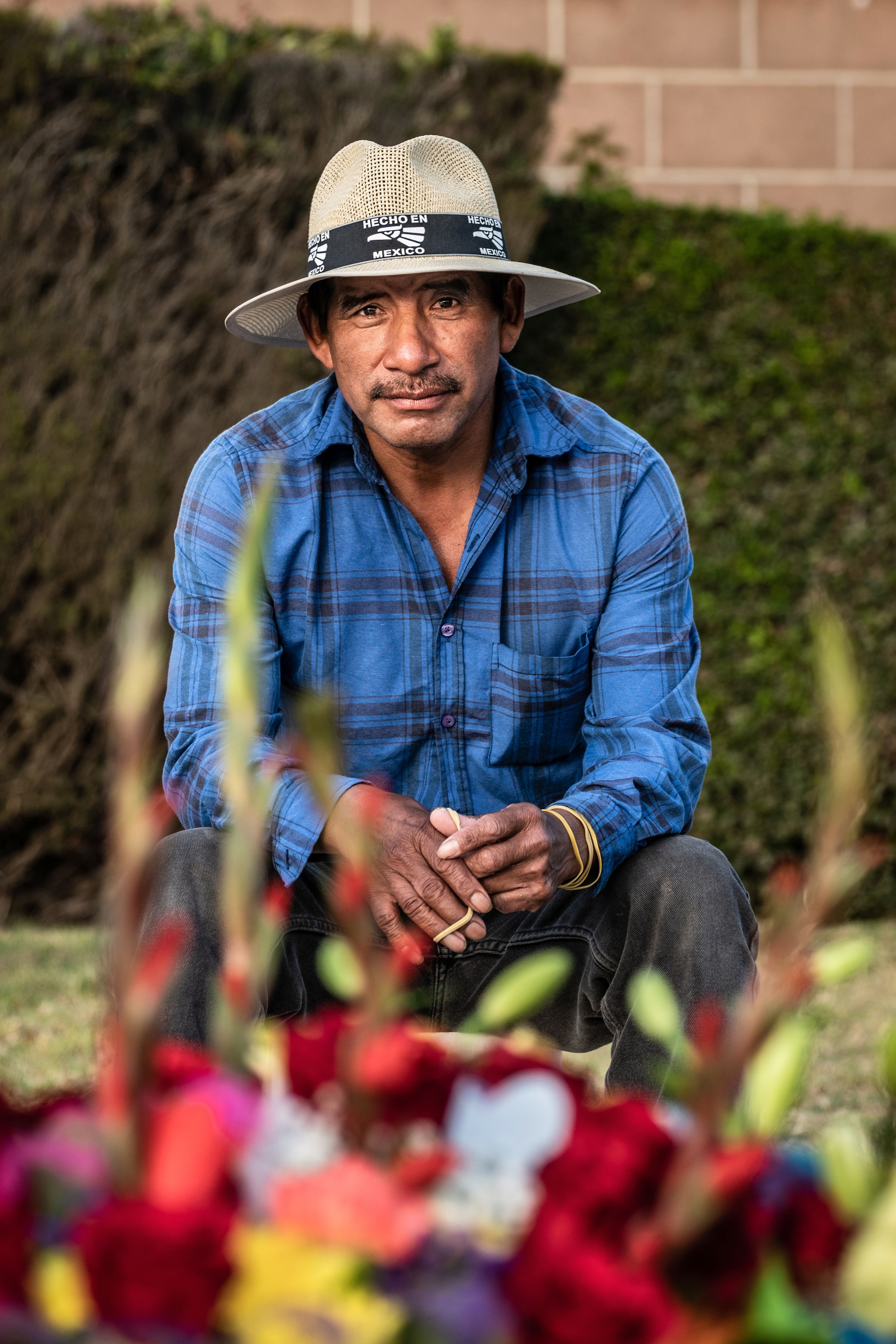 A man in a blue shirt and hat sits outdoors, surrounded by vibrant flowers.