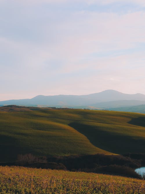 Green Grass Field and Mountains