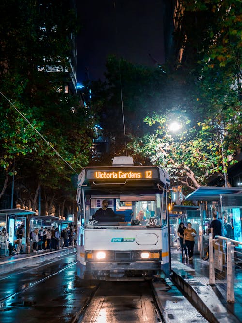 People Walking on Sidewalk during Night Time