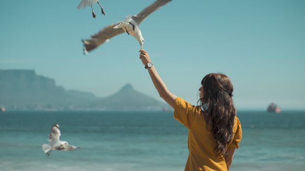 Woman Feeding Bird on Seashore